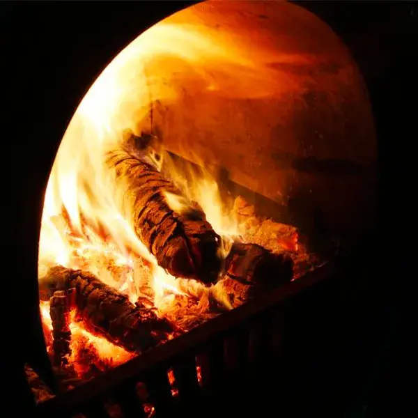 Feu de bois